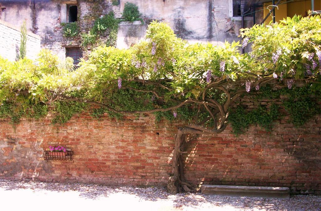 Hotel Relais Alcova Del Doge Mira Exterior foto